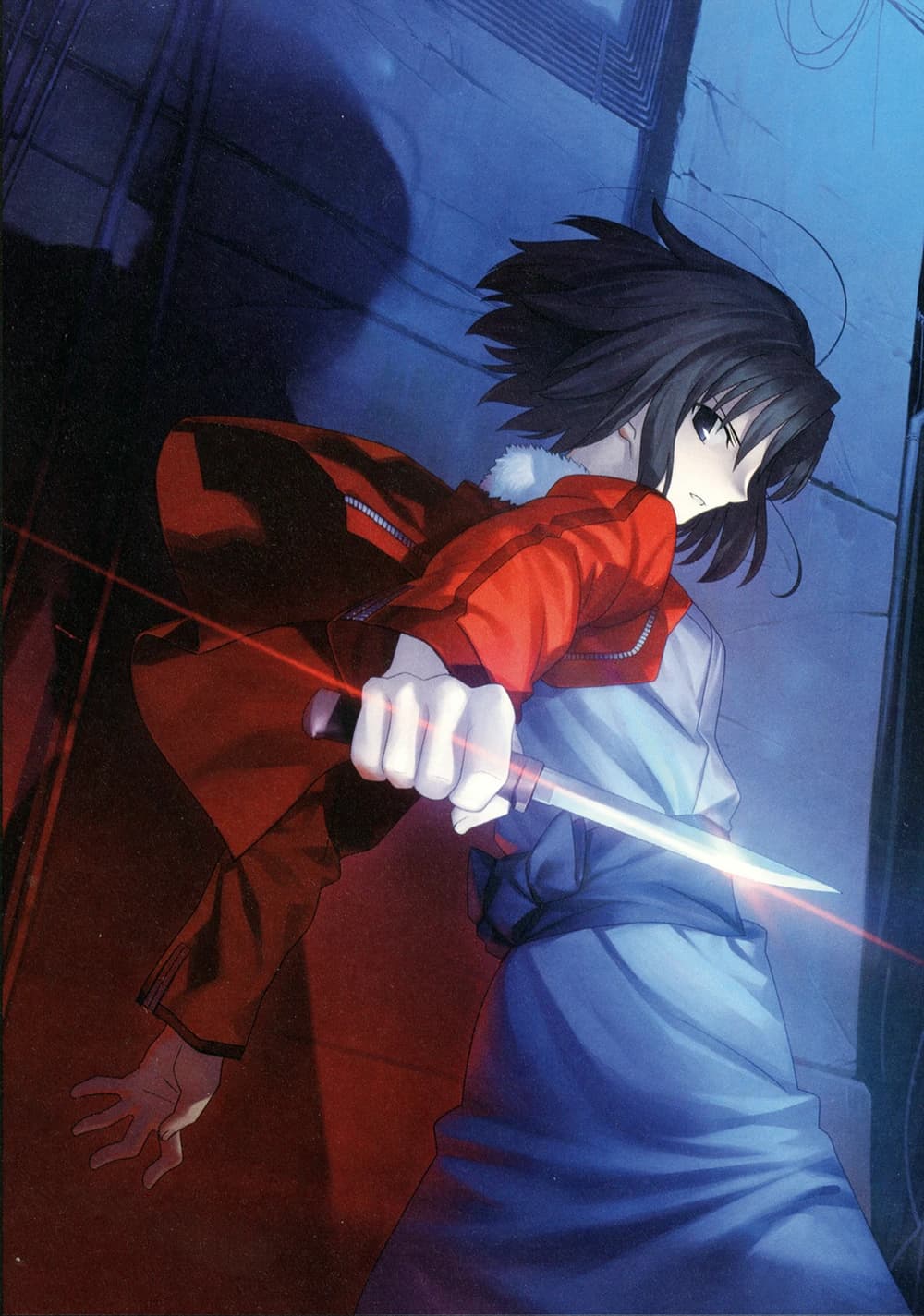 Kara no Kyoukai novel cover 3 with Shiki